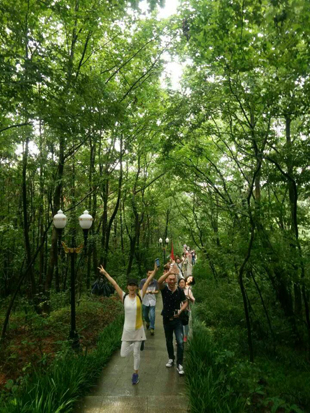 240导线400米档距弧垂(240导线弧垂表)
